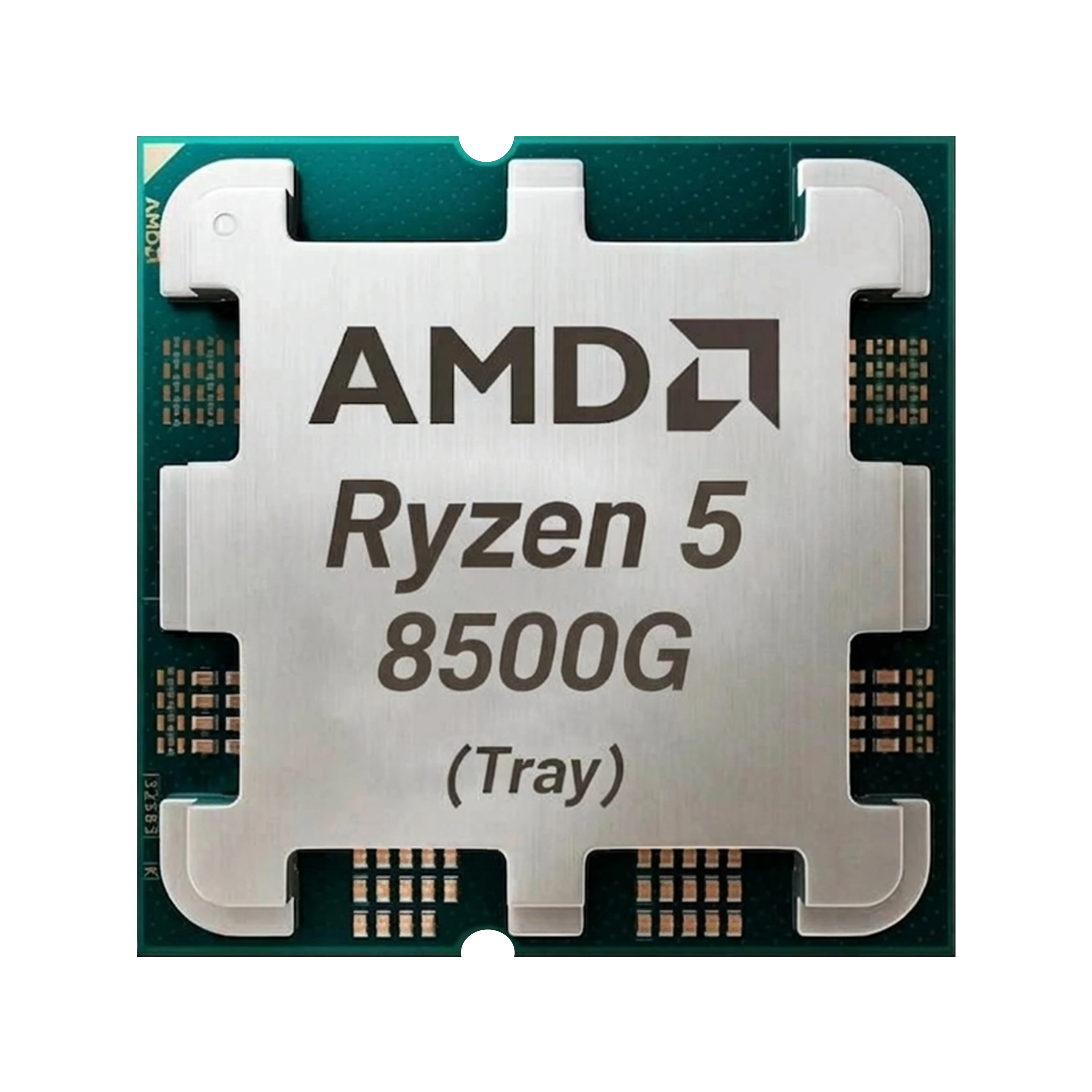 AMD CPU Ryzen 5 8500G TRAY